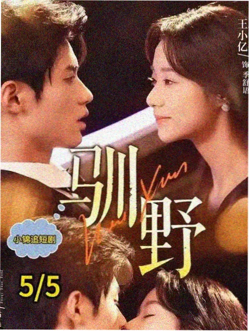 全职猎人 TV 1999 原版 封面